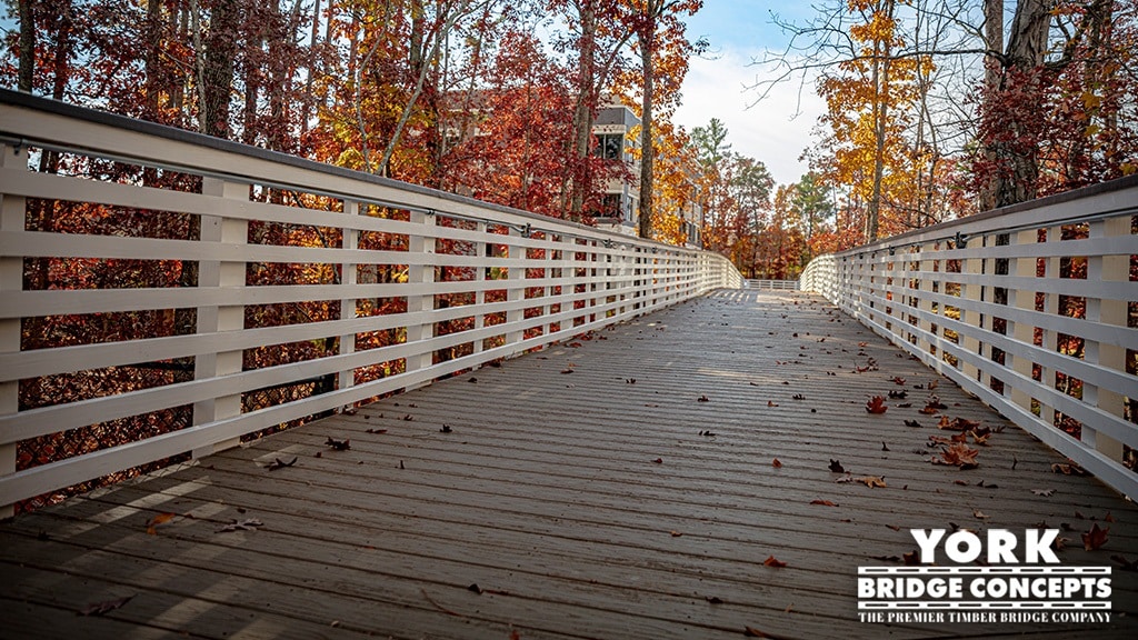 Emergeortho Medical Offices Long pedestrian bridge. Raleigh, NC