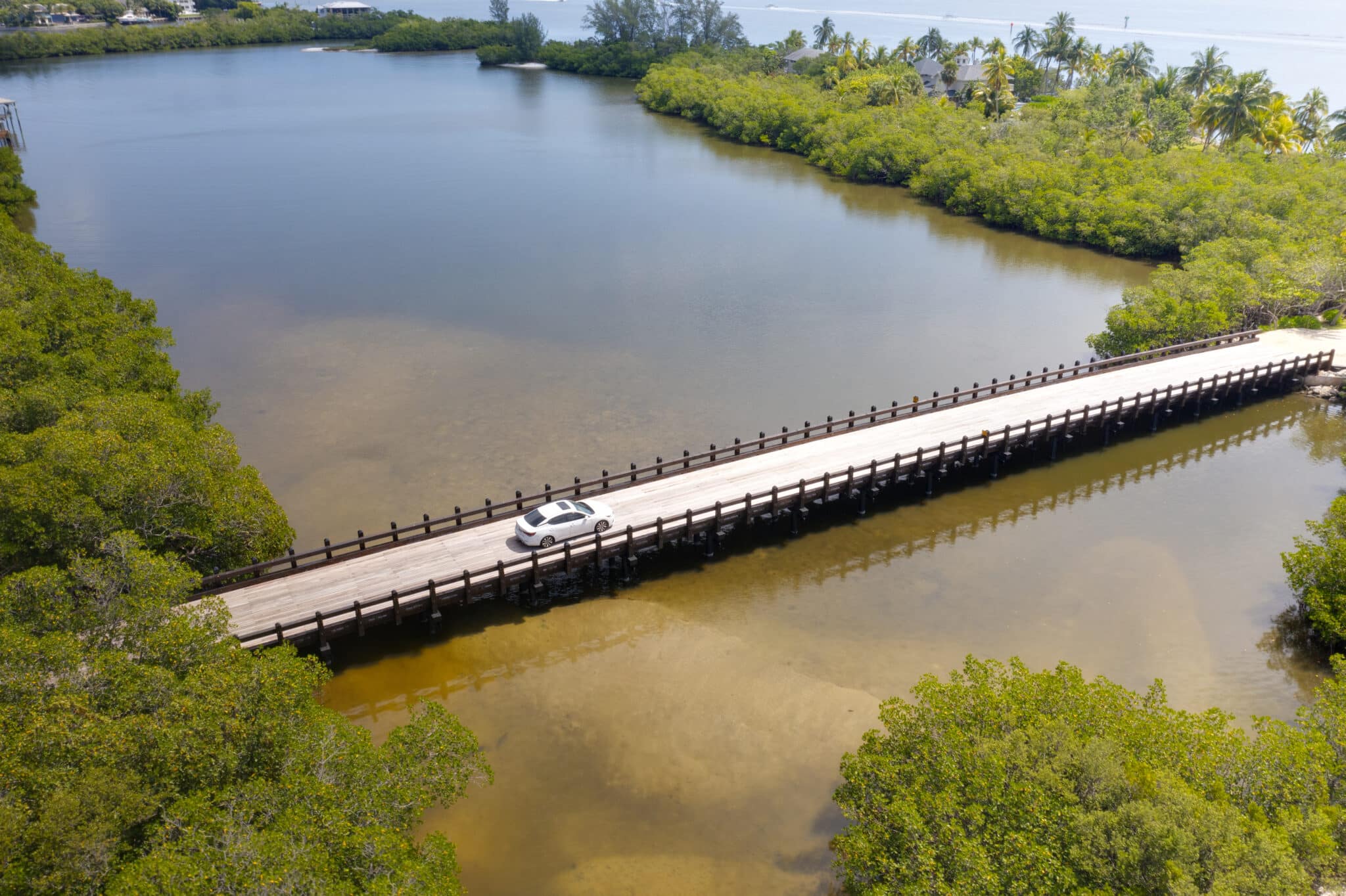 Environmental Impact of Timber versus Steel Bridges of Mandalay Vehicular Bridge with an extremely sensitive wetlands