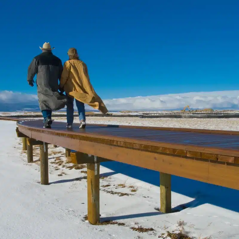 timber boardwalk