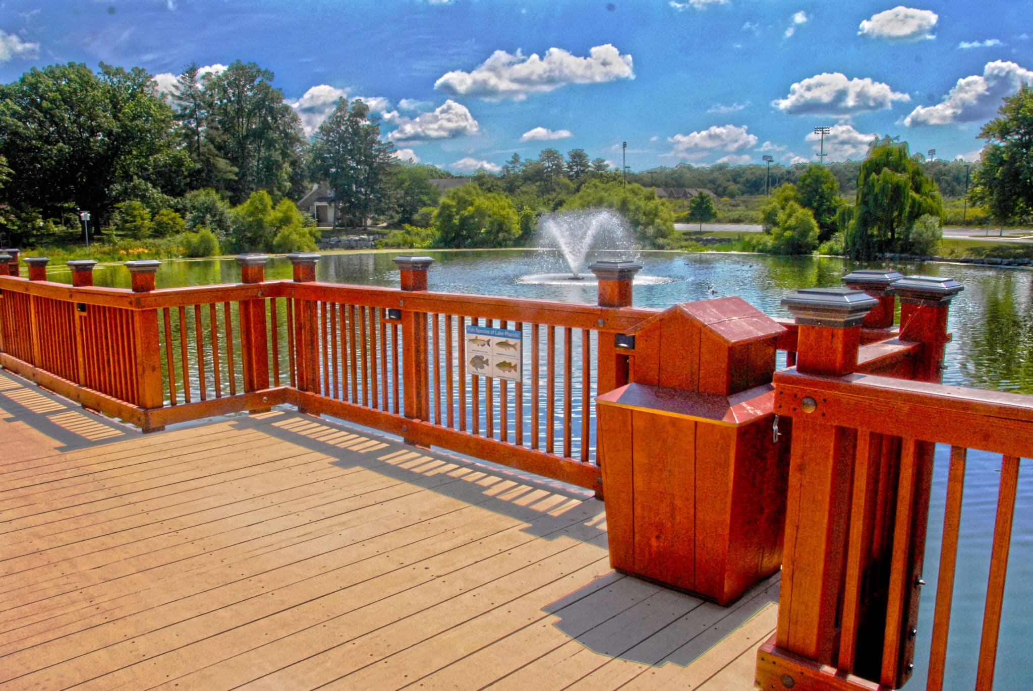 Elizabethtown College campus pedestrian bridge sustainable design that complements the natural surroundings built by York Bridge Concepts