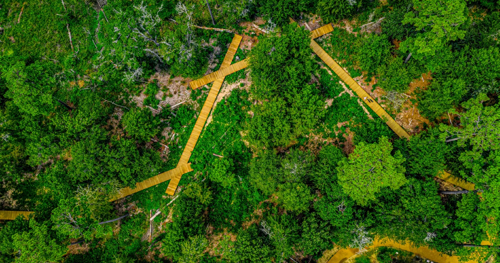 Homepage Featured Trail Bridge